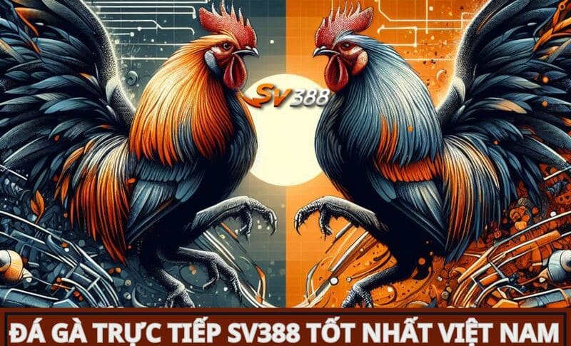 Đá gà trực tiếp cựa dao SV388 đem đến cho thành viên 99+ giải đấu khác nhau