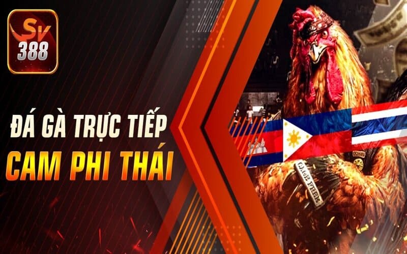 Cơ hội kiếm được tiền thưởng hấp dẫn từ SV388