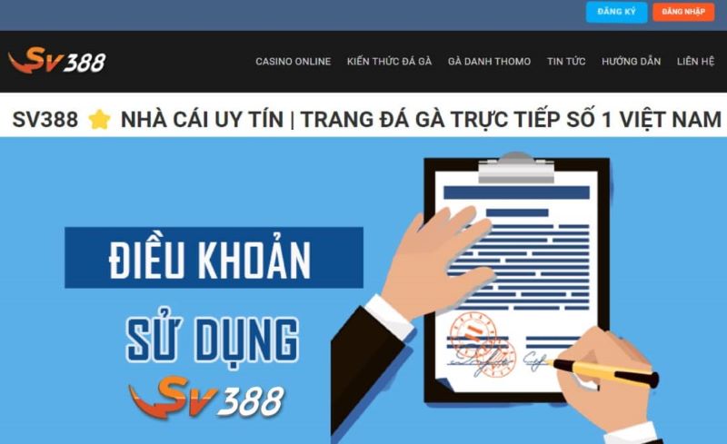 Điều khoản dịch vụ SV388 về thông tin tài khoản 