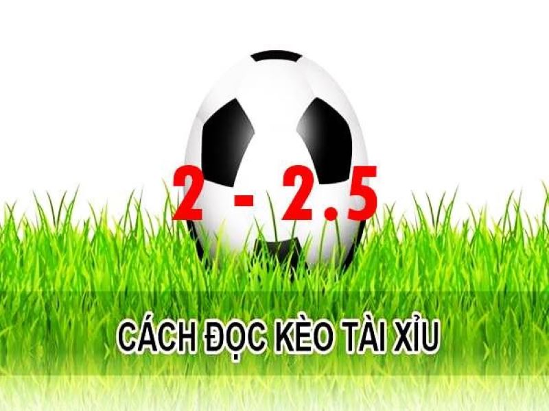 Tìm hiểu thông tin tổng quan về kèo tài xỉu 2/2.5 