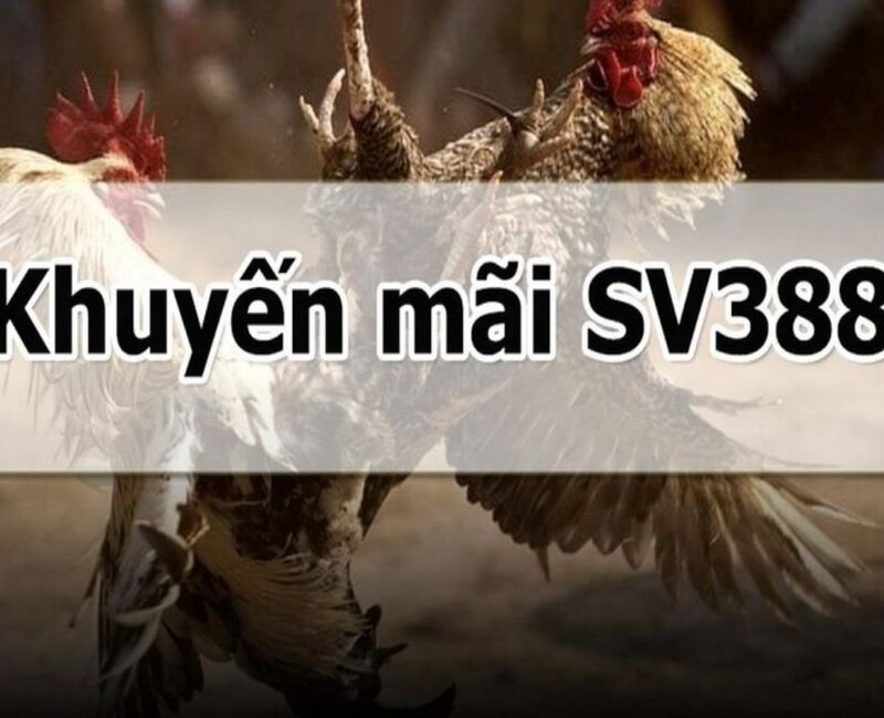 SV388 đặc biệt quan tâm đến giá trị phần thưởng