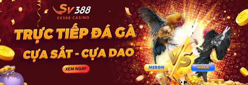 Những lưu ý quan trọng người chơi cần nắm khi kiếm tiền tại sv388