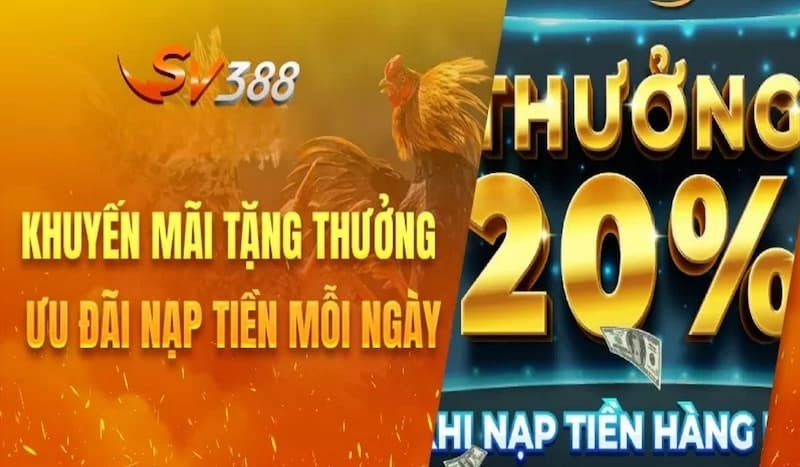 SV388 triển khai nhiều ưu đãi hấp dẫn với mọi thành viên khi tham gia cá cược online